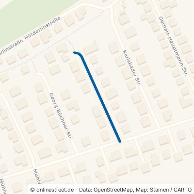 Adalbert-Stifter-Straße 64521 Groß-Gerau Dornheim Dornheim