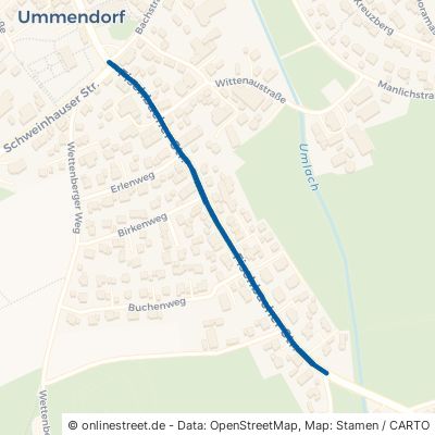 Fischbacher Straße 88444 Ummendorf 