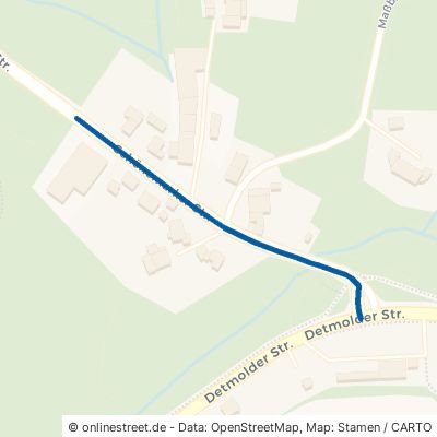 Schönemarker Straße Horn-Bad Meinberg Wilberg 