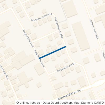 Martin-Buber-Straße 64560 Riedstadt Crumstadt 