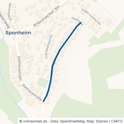 Graf-Meginhard-Straße 55595 Sponheim 