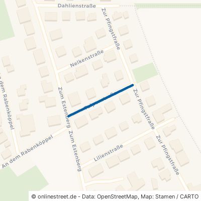 Tulpenstraße Vöhl Buchenberg 