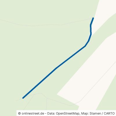 Waldweg Eichenbühl Pfohlbach 