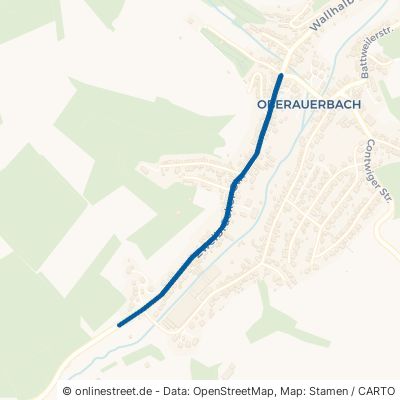 Zweibrücker Straße Zweibrücken Oberauerbach 