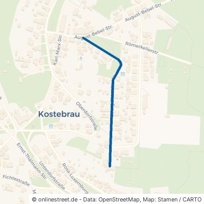 Georg-Scheffler-Straße Lauchhammer Kostebrau 