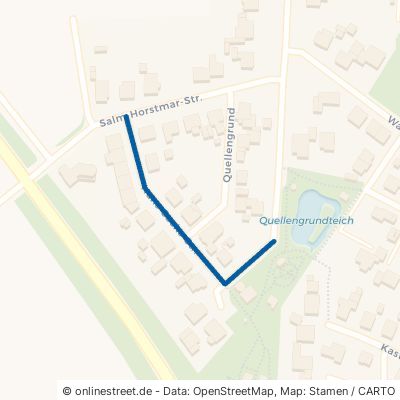 Hans-Sachs-Straße 46325 Borken Weseke 