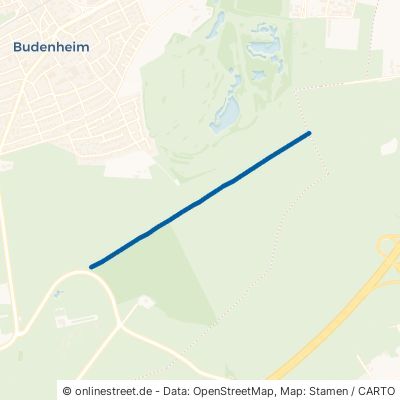 Ludwigsschneise Budenheim 