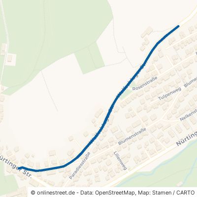 Wolfschluger Straße Aichtal Grötzingen 