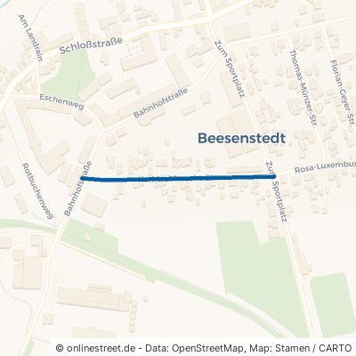 Karl-Liebknecht-Straße 06198 Salzatal Beesenstedt 