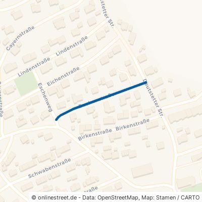 Buchenstraße Veringenstadt 