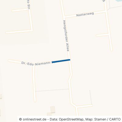 Dr.-Edo-Niemann-Straße Apen Augustfehn 