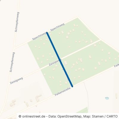 Georg-Herwegh-Straße 03149 Forst Forst-Stadt 