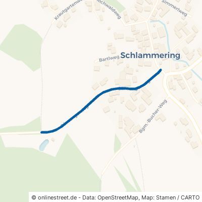 Gänsangerweg Cham Schlammering 