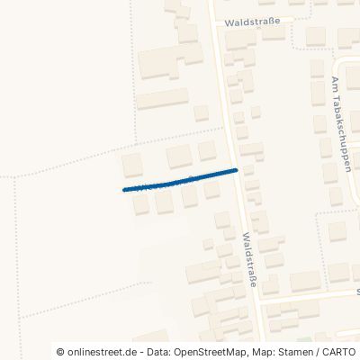 Wiesenstraße 76879 Ottersheim bei Landau 