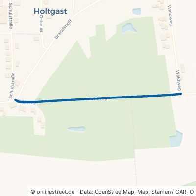 Feldweg 26427 Holtgast 