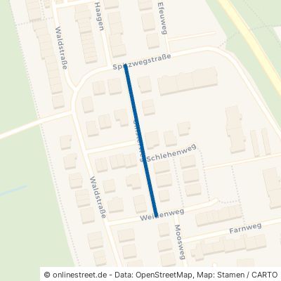Ginsterweg 69168 Wiesloch 