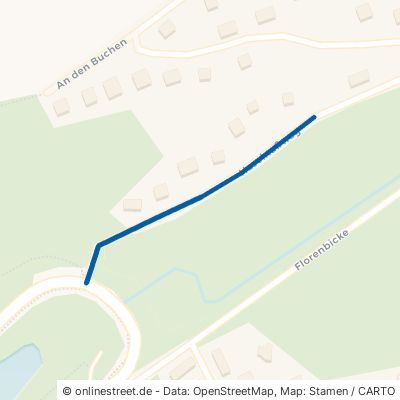 Haselnußweg Diemelsee Heringhausen 