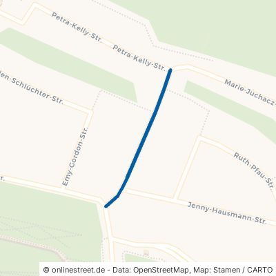 Marie-Wegrainer-Straße Würzburg Frauenland 