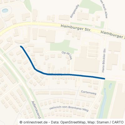 Hinterstraße 25337 Elmshorn 