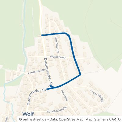 Eichwaldstraße 63654 Büdingen Wolf 
