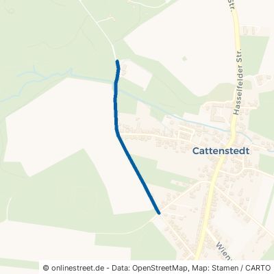 Trift 38889 Blankenburg Cattenstedt 
