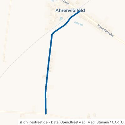 Schulweg Ahrenviölfeld 