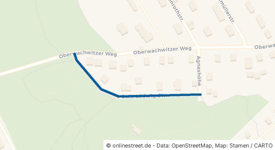 Otto-Ludwig-Straße Dresden Loschwitz/Wachwitz 