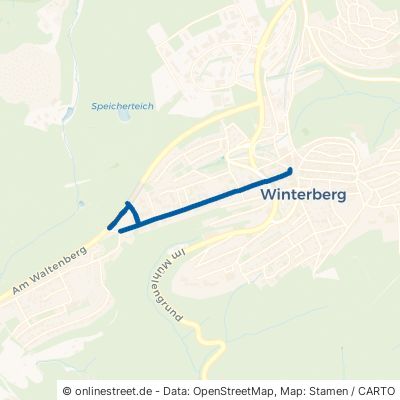 Am Waltenberg Winterberg 