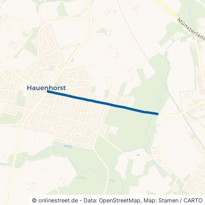 Mesumer Straße 48432 Rheine Mesum Hauenhorst