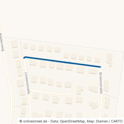 Ulmenstraße 50374 Erftstadt Friesheim Friesheim