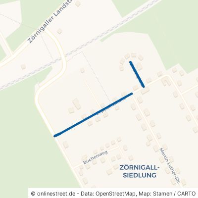 Zeppelinstraße Zahna-Elster Zörnigall 