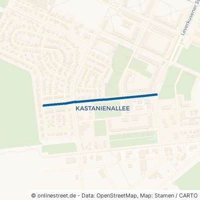 Felchower Straße 16303 Schwedt (Oder) Kastanienallee 