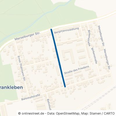 Kastanienstraße 06259 Braunsbedra Frankleben 