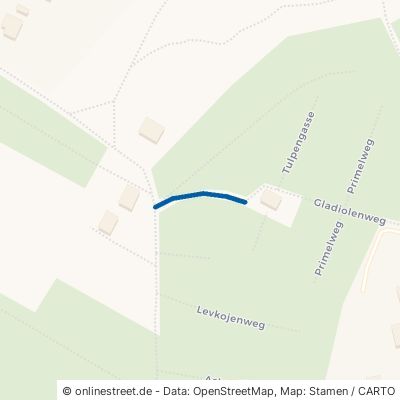 Gladiolenweg 14469 Potsdam Nauener Vorstadt 