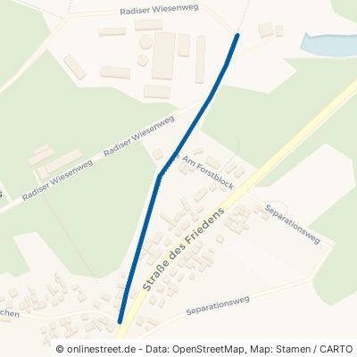 Mühlenweg Kemberg Radis 