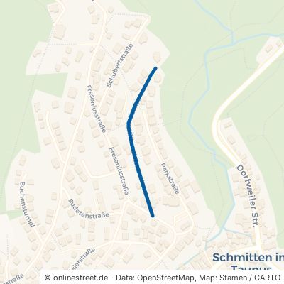 Leistenbachstraße Schmitten 