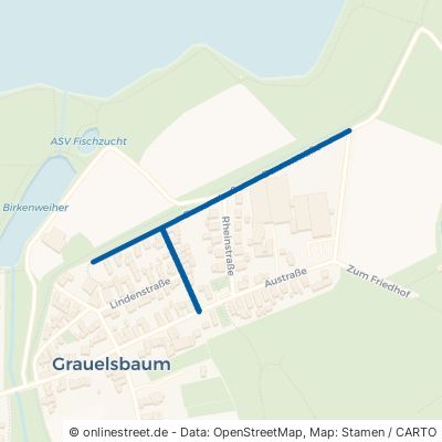 Dammstraße Lichtenau Grauelsbaum 