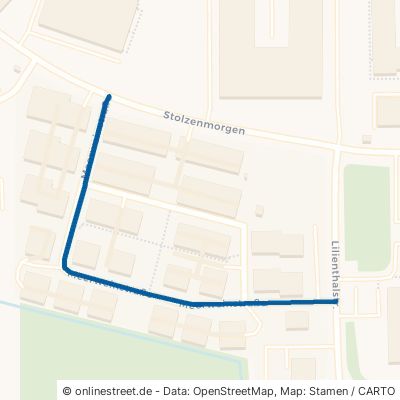 Meerweinstraße Gießen 