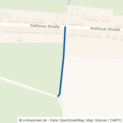 Grüner Weg 06861 Dessau-Roßlau Rodleben 