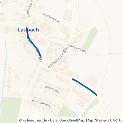 Simmerner Straße Laubach 