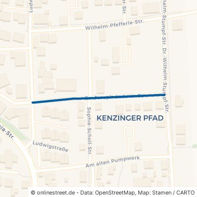 Dr.-Joseph-Lederle-Straße 79346 Endingen am Kaiserstuhl Endingen 