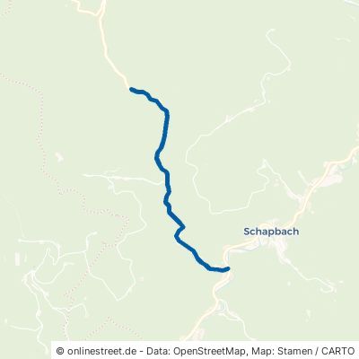 Wildschapbachstraße Bad Rippoldsau-Schapbach Schapbach 