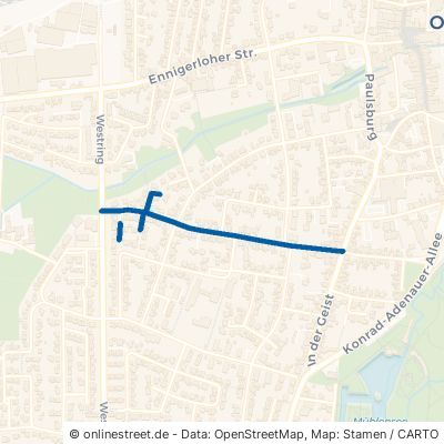 Theodor-Naarmann-Straße 59302 Oelde 