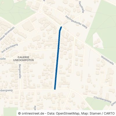 Wilhelm-Potenberg-Straße 17454 Zinnowitz Ostseebad Zinnowitz 