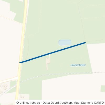 Waldweg Ribbesbüttel Ausbüttel 