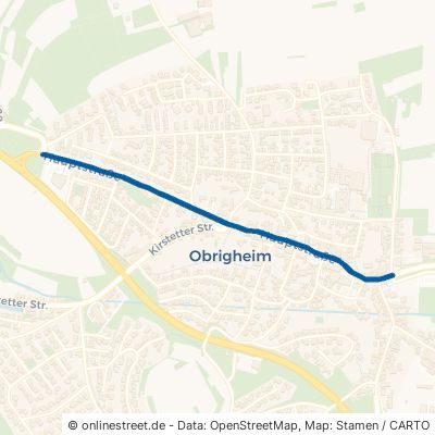 Hauptstraße 74847 Obrigheim 