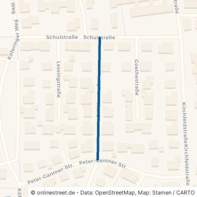 Schillerstraße 93087 Alteglofsheim 