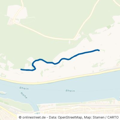 Mittlerer Platzer Weg Rüdesheim am Rhein 
