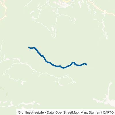 Grenzweg Oberharmersbach Holdersbach 