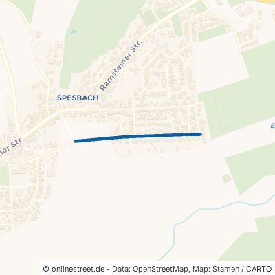 Weidenstraße Hütschenhausen Spesbach 